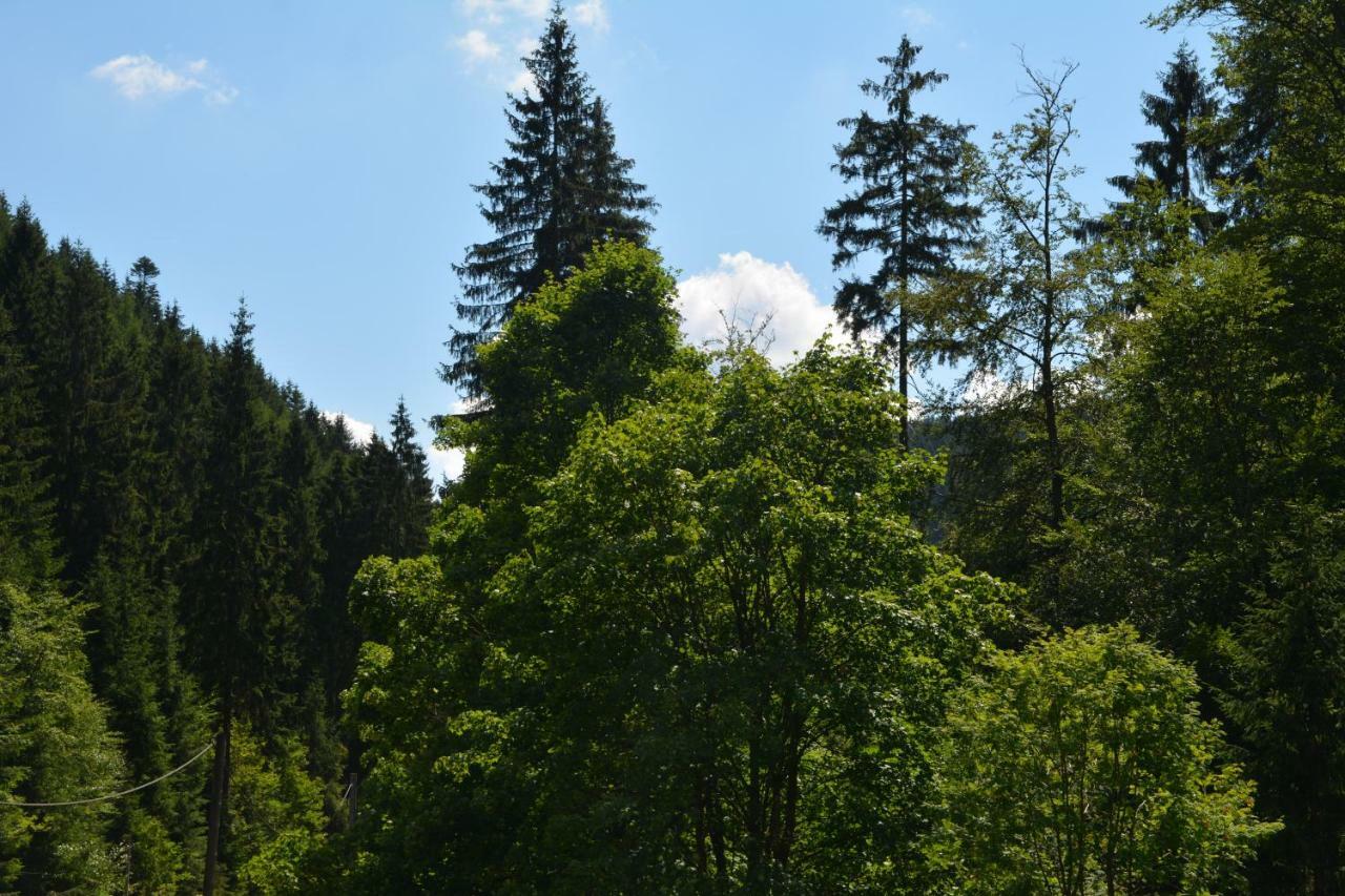 Gasthof Thomas Müntzer Steinheid Exterior foto